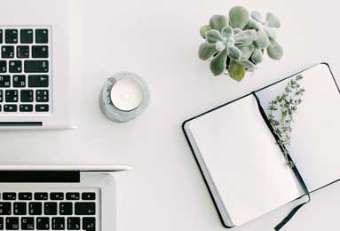 PG火树赢花玩法解析：新手也能轻松赢奖励